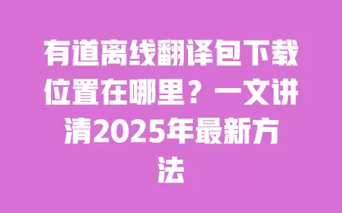 有道离线翻译包下载位置在哪里?一文讲清2025年最新方法 一