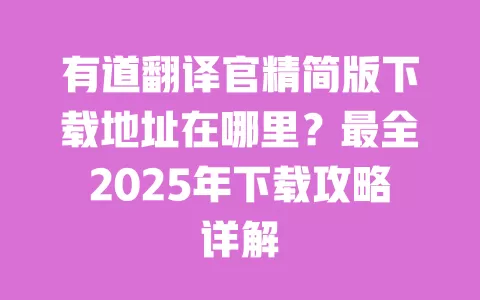 有道翻译官精简版下载地址在哪里?最全2025年下载攻略详解 一