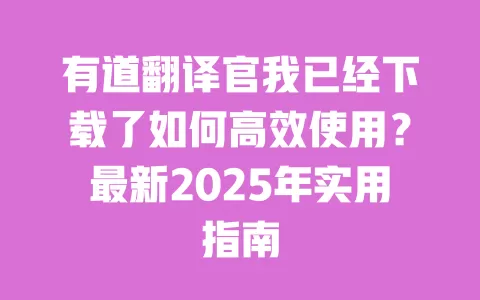 有道翻译官我已经下载了如何高效使用？最新2025年实用指南 一