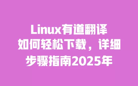 Linux有道翻译如何轻松下载,详细步骤指南2025年 一